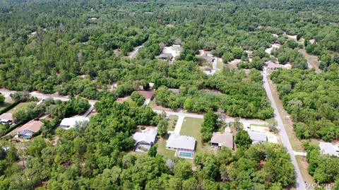 1768 E Cleveland St, Hernando, FL 34442 photo 36