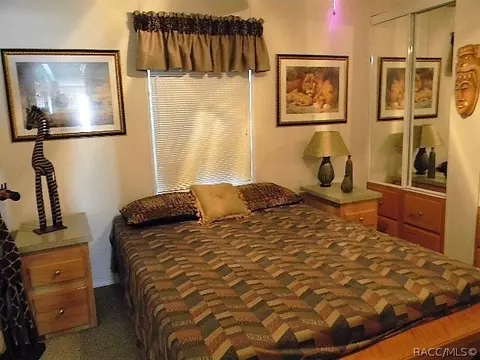 4733 N Apache Trl, Hernando, FL 34442 photo 11