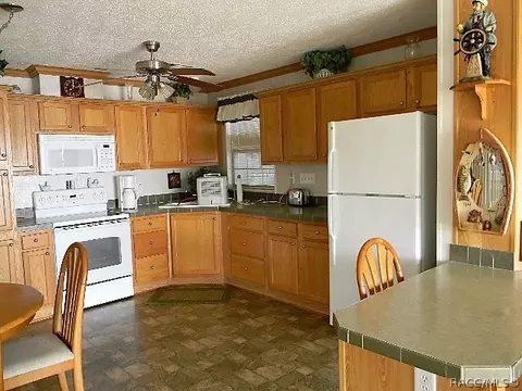 4733 N Apache Trl, Hernando, FL 34442 photo 6