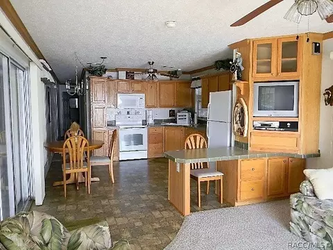 4733 N Apache Trl, Hernando, FL 34442 photo 9