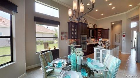 1379 N Skyhawk Pt, Hernando, FL 34442 photo 17