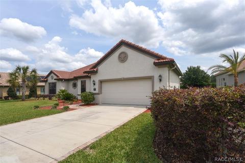 1379 N Skyhawk Pt, Hernando, FL 34442 photo 40