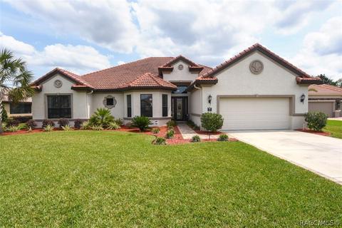1379 N Skyhawk Pt, Hernando, FL 34442 photo 1