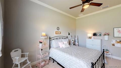 1379 N Skyhawk Pt, Hernando, FL 34442 photo 32