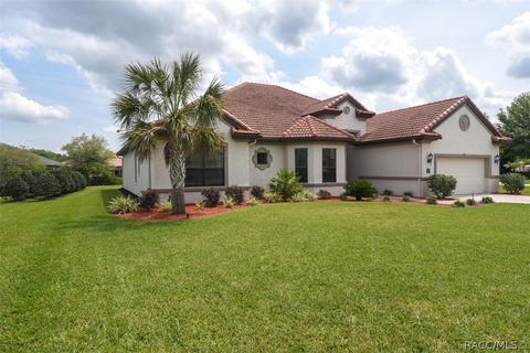1379 N Skyhawk Pt, Hernando, FL 34442 photo 45