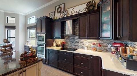 1379 N Skyhawk Pt, Hernando, FL 34442 photo 22