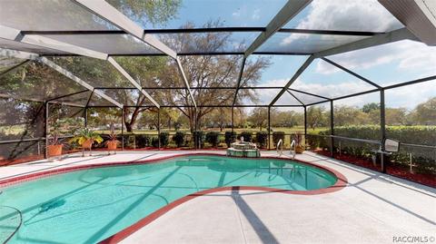 750 E Falconry Ct, Hernando, FL 34442 photo 27