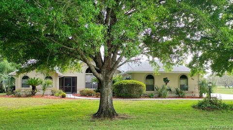 750 E Falconry Ct, Hernando, FL 34442 photo 36