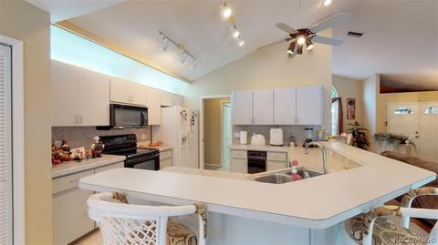 750 E Falconry Ct, Hernando, FL 34442 photo 10