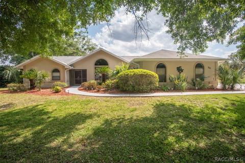 750 E Falconry Ct, Hernando, FL 34442 photo 1