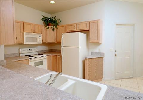 1699 W Spring Meadow Loop, Lecanto, FL 34461 photo 7