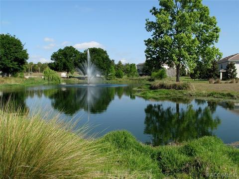 1699 W Spring Meadow Loop, Lecanto, FL 34461 photo 18
