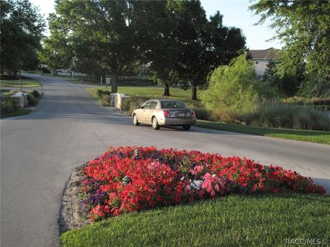 1699 W Spring Meadow Loop, Lecanto, FL 34461 photo 19