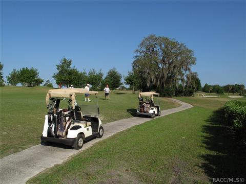 1699 W Spring Meadow Loop, Lecanto, FL 34461 photo 22