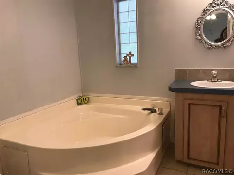 1315 E Winnetka St, Hernando, FL 34442 photo 14