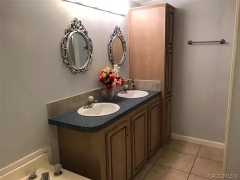 1315 E Winnetka St, Hernando, FL 34442 photo 13