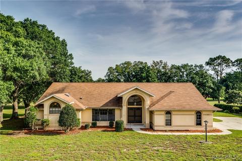 335 E Falconry Ct, Hernando, FL 34442 photo 1