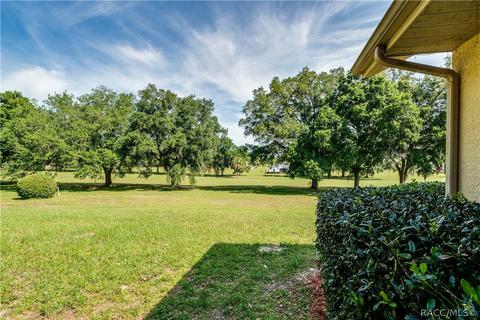 335 E Falconry Ct, Hernando, FL 34442 photo 43