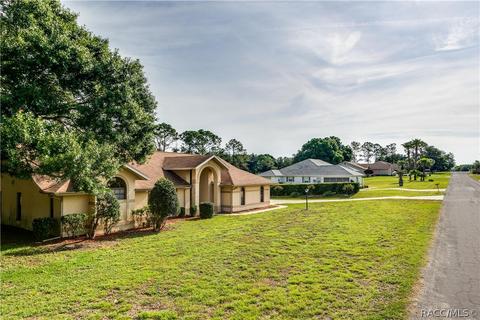 335 E Falconry Ct, Hernando, FL 34442 photo 35