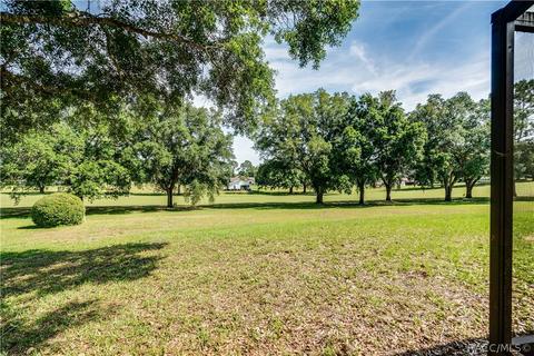 335 E Falconry Ct, Hernando, FL 34442 photo 41