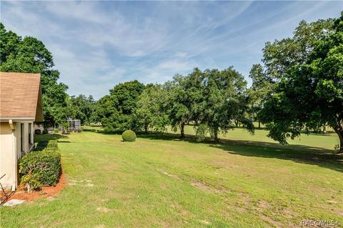 335 E Falconry Ct, Hernando, FL 34442 photo 33