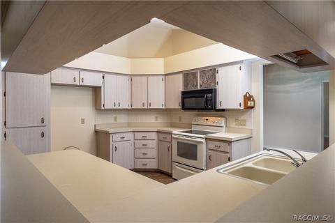 335 E Falconry Ct, Hernando, FL 34442 photo 3