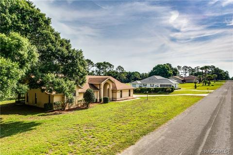 335 E Falconry Ct, Hernando, FL 34442 photo 36
