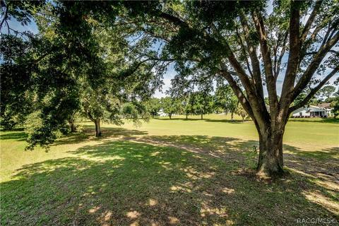 335 E Falconry Ct, Hernando, FL 34442 photo 40