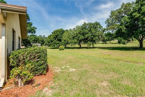 335 E Falconry Ct, Hernando, FL 34442 photo 44