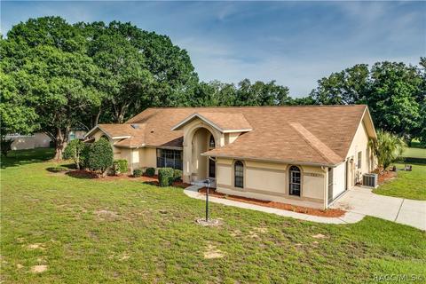 335 E Falconry Ct, Hernando, FL 34442 photo 29