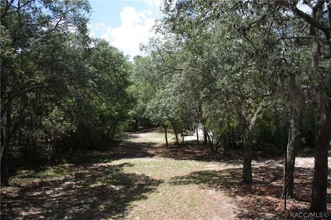 1656 E Bismark St, Hernando, FL 34442 photo 22