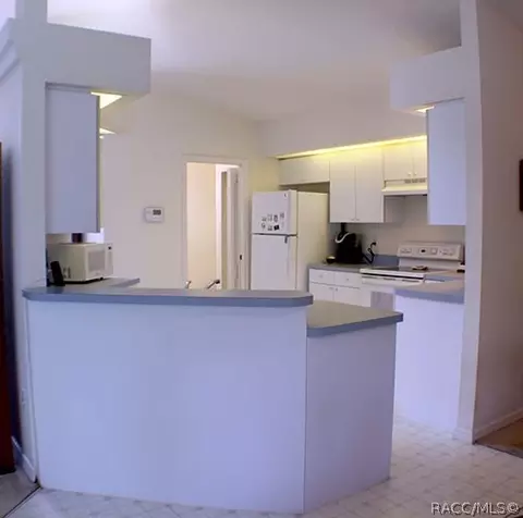 13663 Rudi Loop, Spring Hill, FL 34609 photo 14