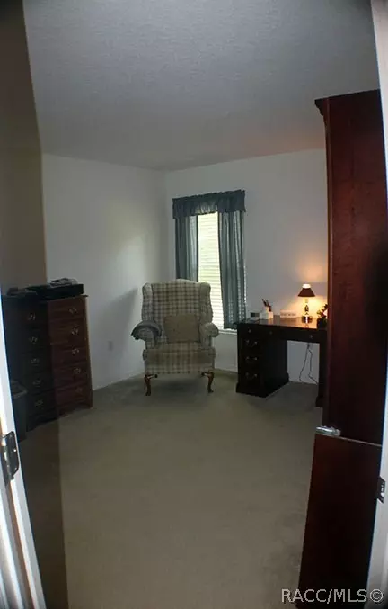 13663 Rudi Loop, Spring Hill, FL 34609 photo 17