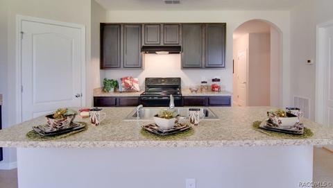 475 W Runyon Loop, Beverly Hills, FL 34465 photo 8