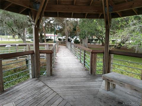 10247 E Pike Dr, Inverness, FL 34450 photo 47