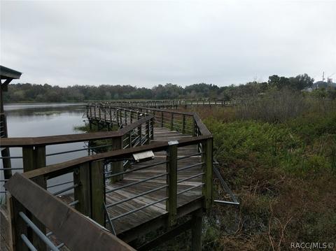 10247 E Pike Dr, Inverness, FL 34450 photo 46