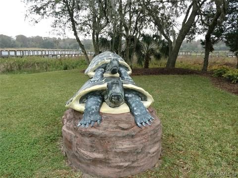 10247 E Pike Dr, Inverness, FL 34450 photo 44