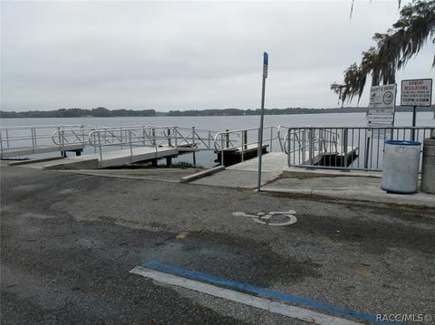 10247 E Pike Dr, Inverness, FL 34450 photo 41