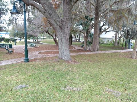 10247 E Pike Dr, Inverness, FL 34450 photo 48