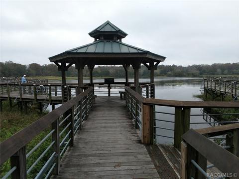 10247 E Pike Dr, Inverness, FL 34450 photo 45