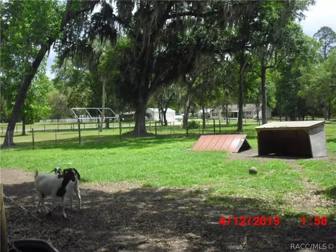 11350 SE 196 Pl, Inglis, FL 34449 photo 8