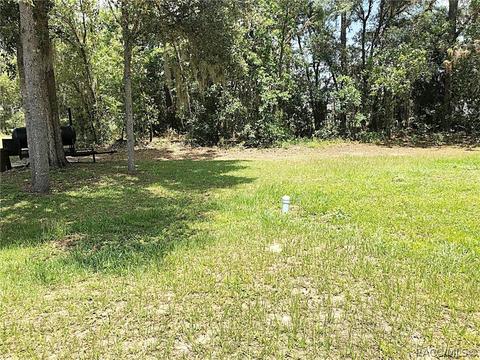657 E La Salle St, Hernando, FL 34442 photo 41