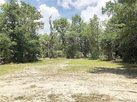657 E La Salle St, Hernando, FL 34442 photo 38