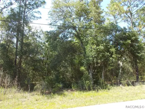 1337 E Bismark St, Hernando, FL 34442 photo 1