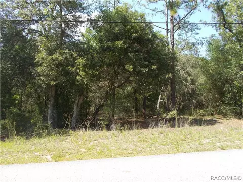 1337 E Bismark St, Hernando, FL 34442 photo 2