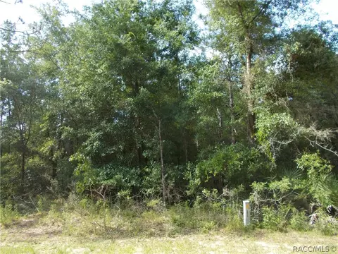 1569 W Oregon Ct, Hernando, FL 34442 photo 2
