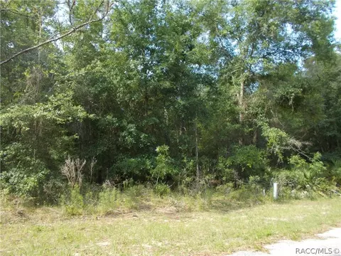 1569 W Oregon Ct, Hernando, FL 34442 photo 1