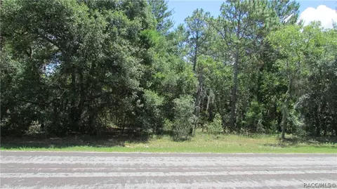3975 N Monadnock Rd, Hernando, FL 34442 photo 1