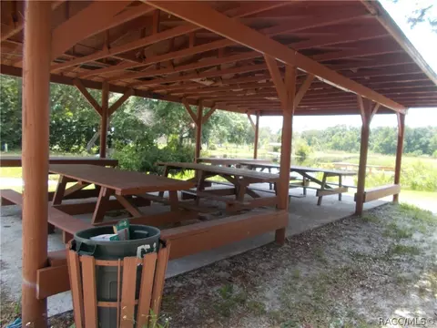 6154 N Tsala Apopka Dr, Hernando, FL 34442 photo 14