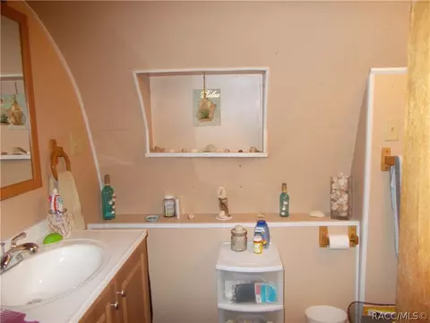 6154 N Tsala Apopka Dr, Hernando, FL 34442 photo 7